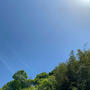 綺麗な青空