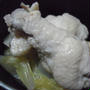 コラーゲンもりもりだよ♪鶏手羽煮込み
