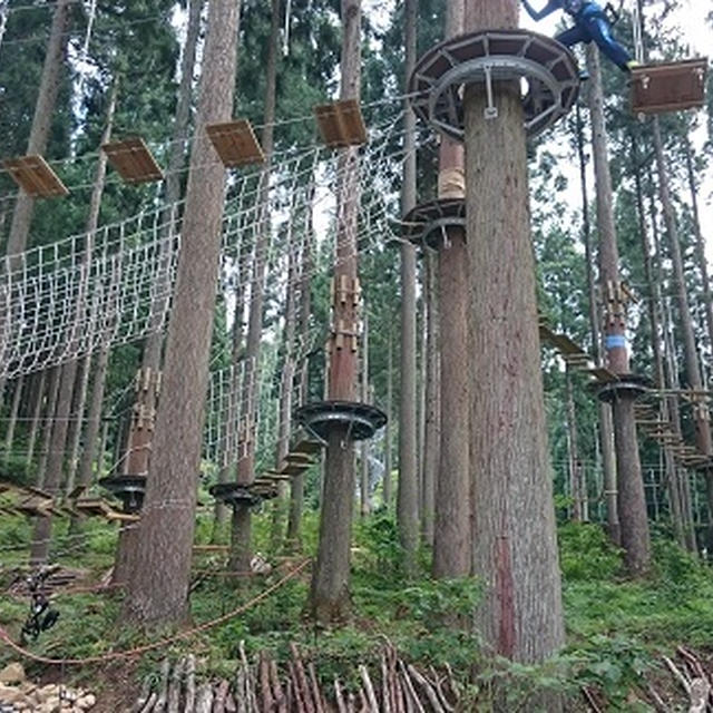 福井・Tree Picnic Adventure IKEDA