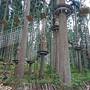 福井・Tree Picnic Adventure IKEDA
