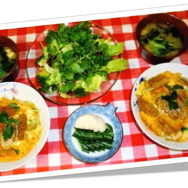 今夜はカツ丼