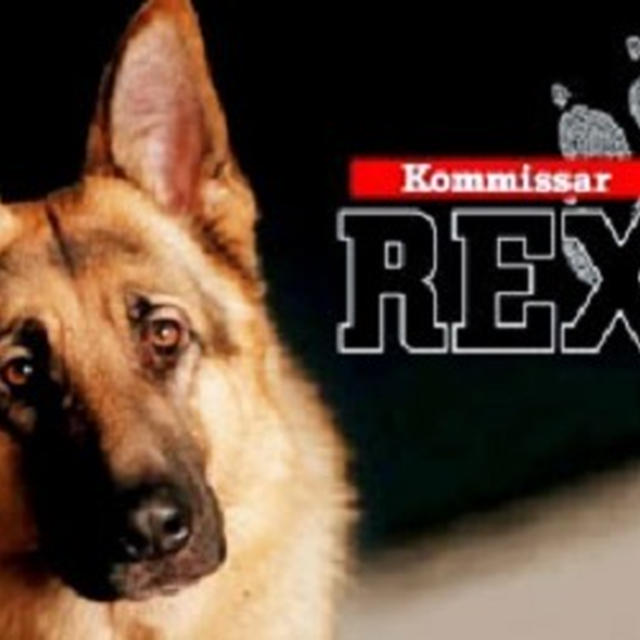 『REX～ウィーン警察シェパード犬刑事』