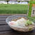 浜辺で昼ごはーん
