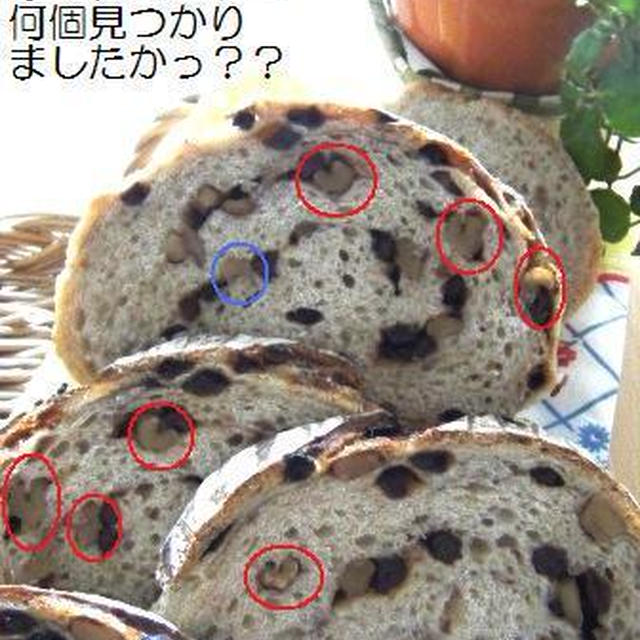 【Coupe Junkies】Tin Bread　レッスン４－１