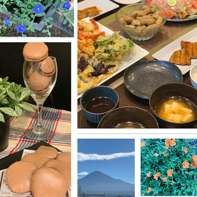 マカロン作りや和食で夕食の一日～今朝の富士山!!
