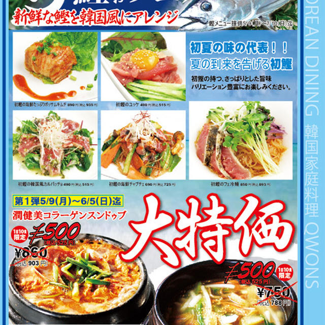 韓流の美味いカツオを食べよう！初鰹祭り☆