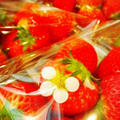 朝採りいちご達