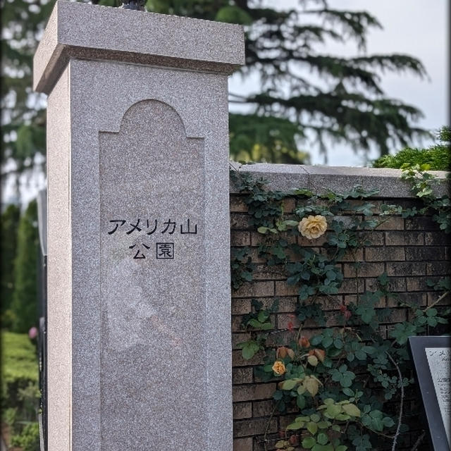 昨日のお出掛けは横浜