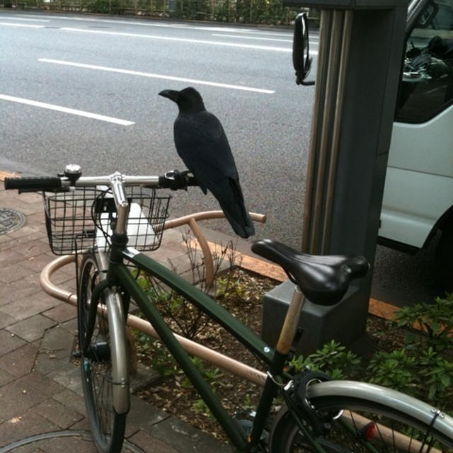 自転車に、