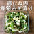 【低糖質！鶏胸肉の春菊ネギ漬け】ぷりっと柔らかな水晶鶏風！