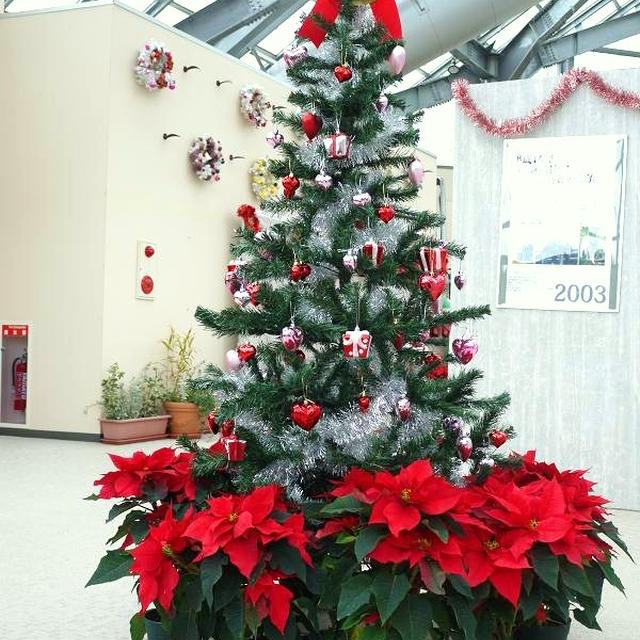 新潟県立植物園～クリスマス展②クリスマスツリー編～