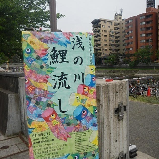朝の川　鯉流し