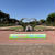 敷島公園のバラ園