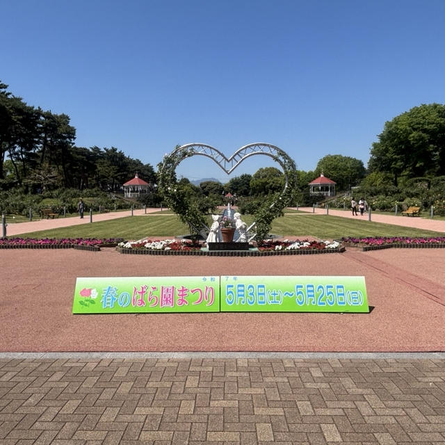 敷島公園のバラ園