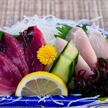 日本はお魚好きにはパラダイス〜