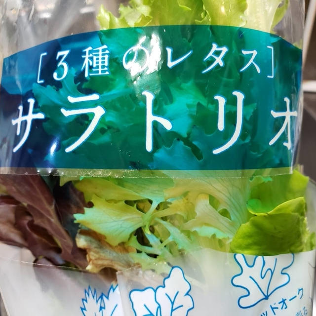 おかやまのSARAとれたて野菜【3種のレタスサラトリオ】でサラダストックづくり