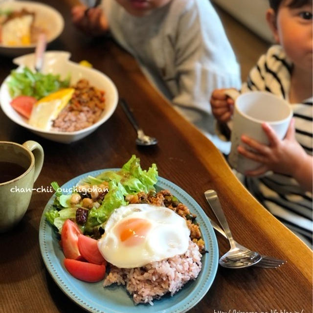 【簡単レシピ】子供と一緒に作るドライカレー♪ と 質問お返事。