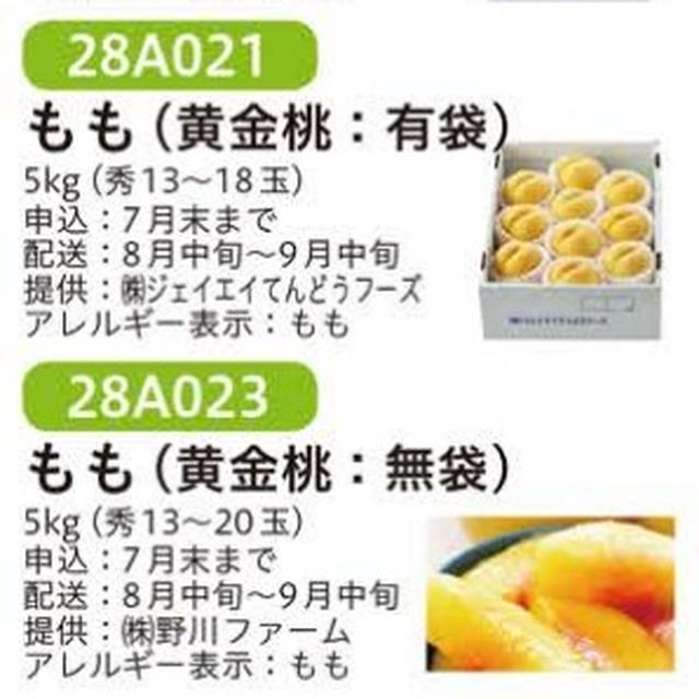 2016年度ふるさと納税No.2　山形県天童市の黄金桃