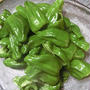 野菜が穫れすぎた時は……