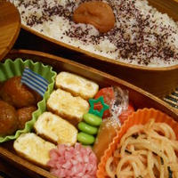 romのお弁当☆１・２８