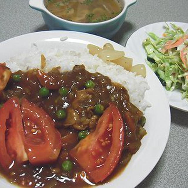 トマトカレー。ねこカメラ。