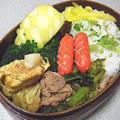 回鍋肉と水菜の混ぜご飯弁当。朝の目覚めのにゃんこ達