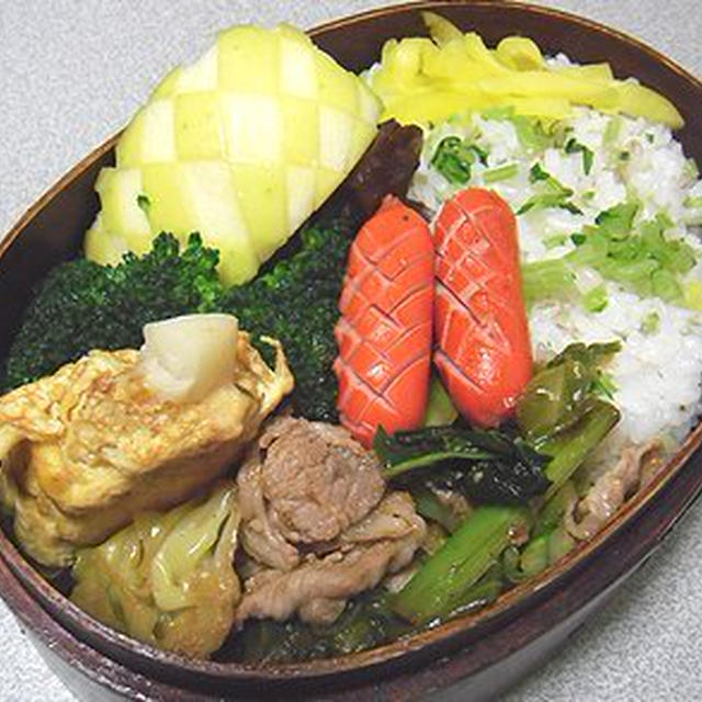 回鍋肉と水菜の混ぜご飯弁当。朝の目覚めのにゃんこ達
