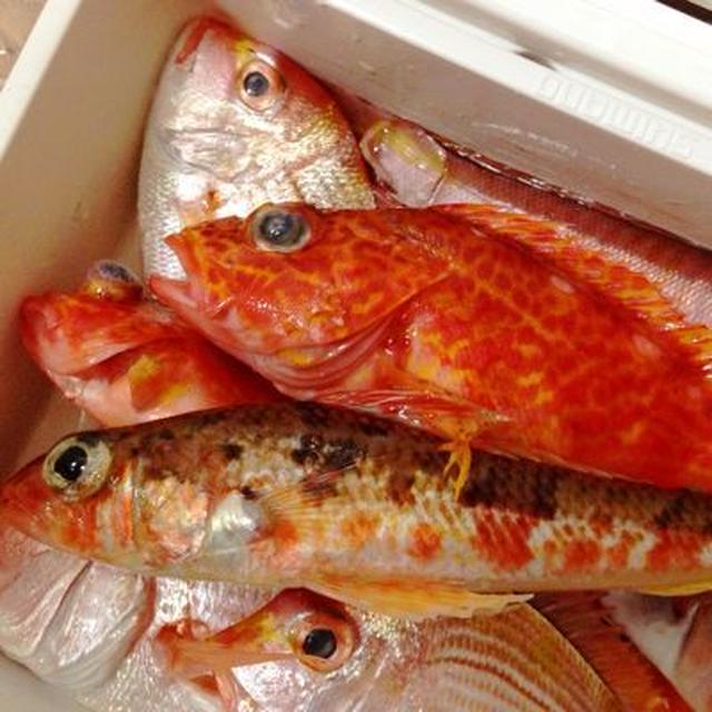 夫の釣果でお魚料理色々♪