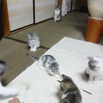 たっぷりぷり