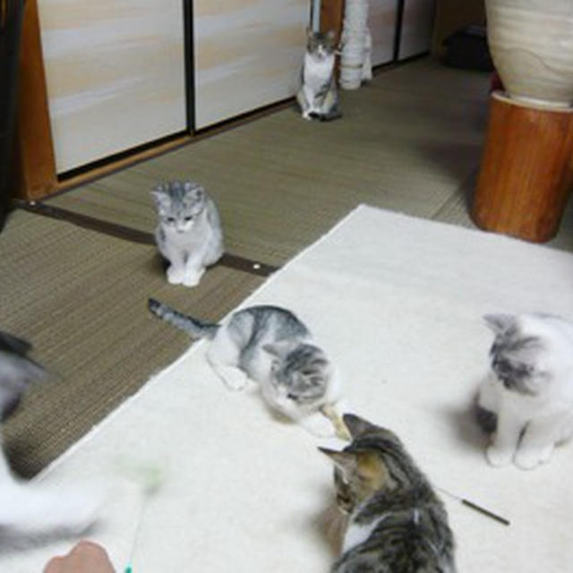 たっぷりぷり