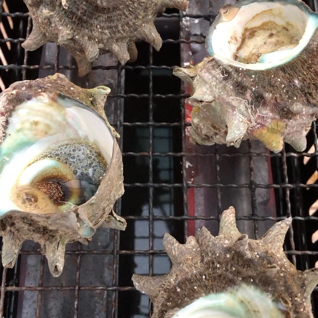 中庭で炉端焼きパーティー＊