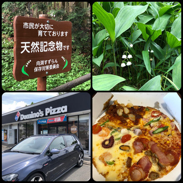 奈良の宇陀市向渕の正定寺へ