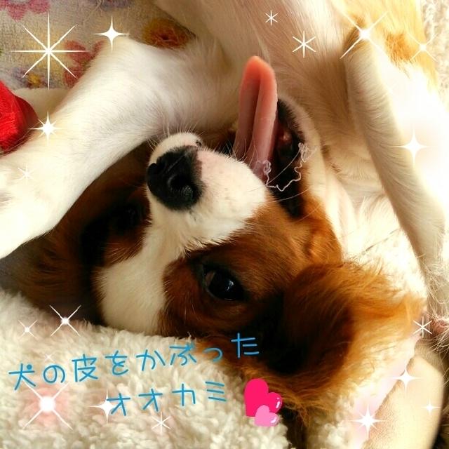 今日の1枚☆