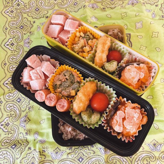 今日のお弁当