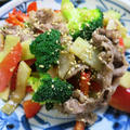 カラフル野菜と豚肉炒め
