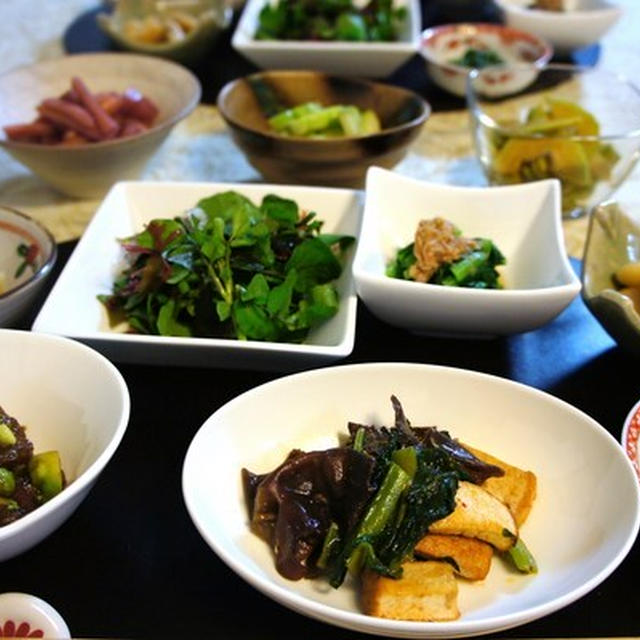 畑の冬野菜で色々