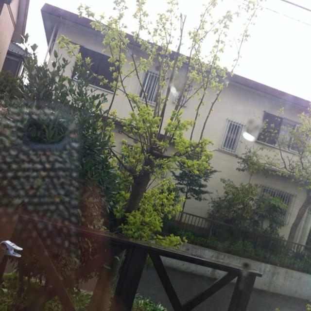 急に大雨