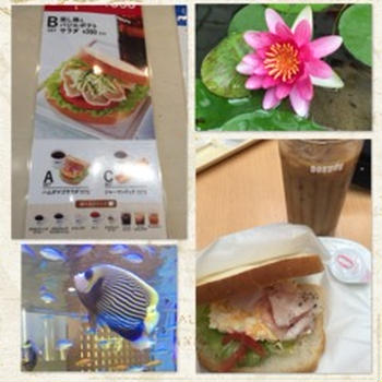 癒しを探す