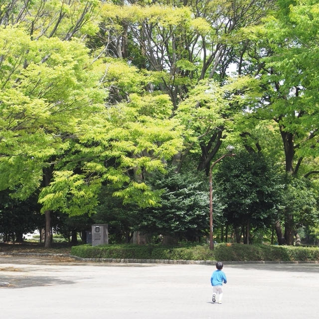 「僕はお兄ちゃん赤ちゃん」いとこ誕生にヤキモチを焼いた次男の反応にクスッときた