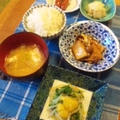 カブの山葵醤油塩麹和え＆野菜とポンカンのレモンスパイシーサラダ