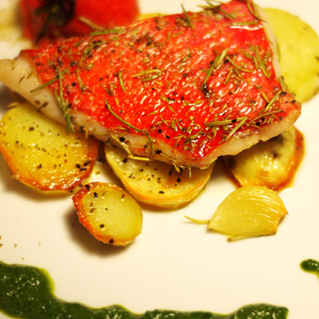 Red Snapper