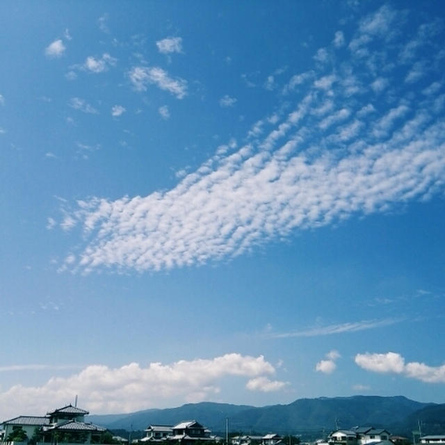 月にかわってお仕置きよ!!と久々にやって来たあれ…