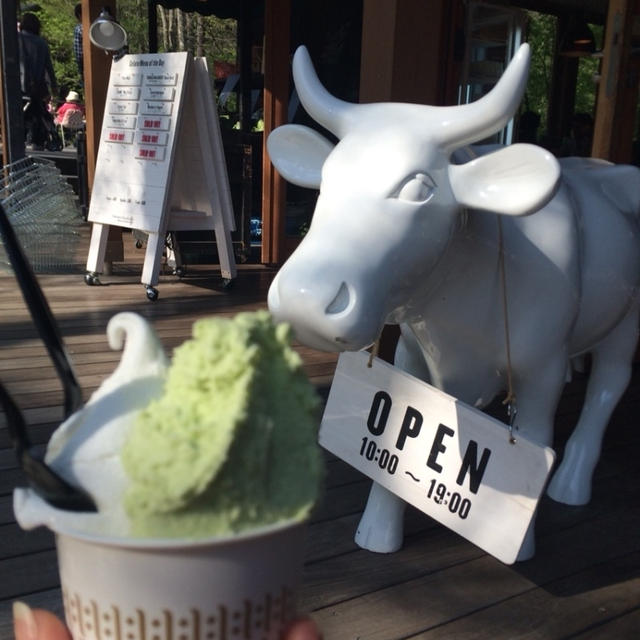 アスパラガスのジェラート