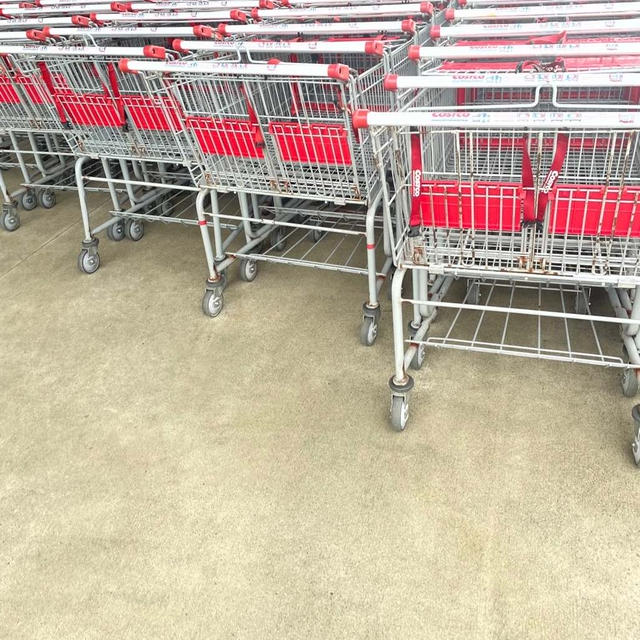 コストコ＊人気商品の新フレーバー♡と楽天マラソンお買い得情報その１