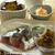 鯵の刺身となめろう