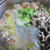 びっくり鶏団子鍋