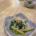 札幌で食べた初めての山菜は何クイズー