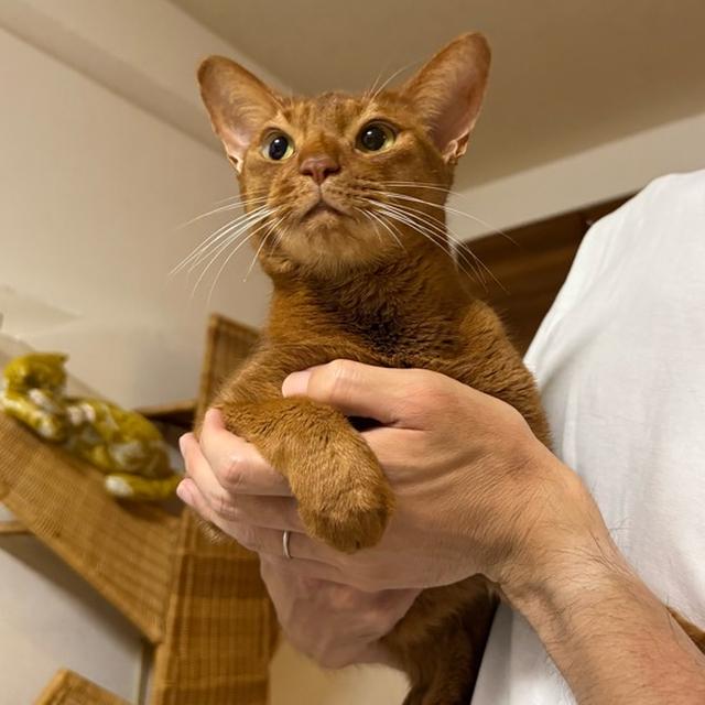 抱っこが嬉しくて、テンションあがっちゃうひめちゃん