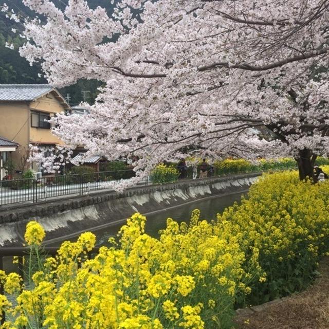 大文字山