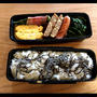 ６/１６/２  旦那さんお弁当